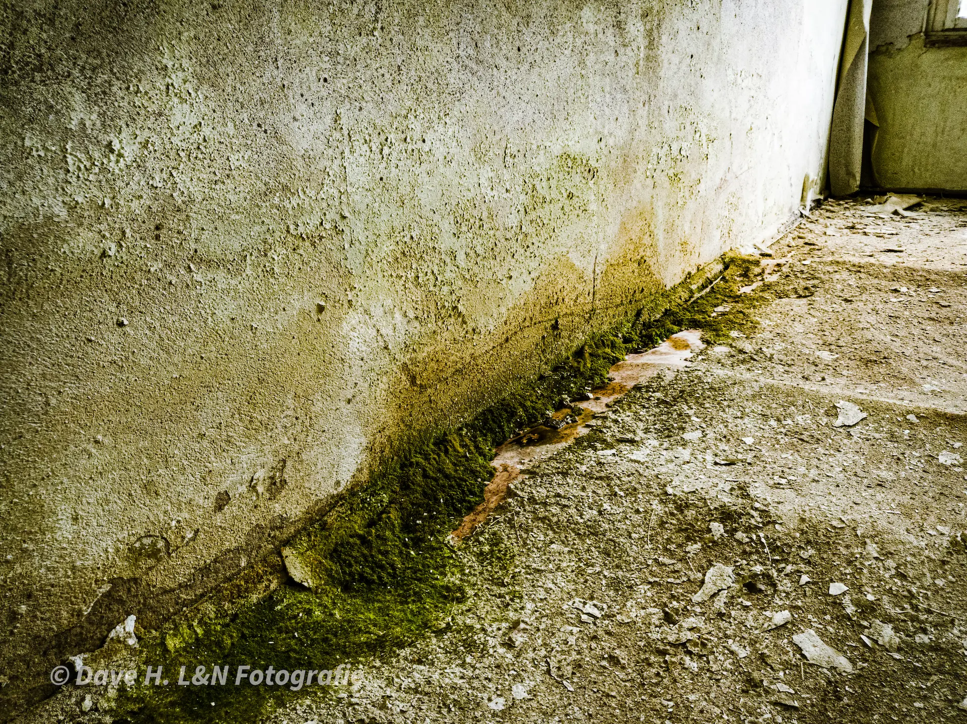 Moos und Grünspan im Gebäude der Kasernenanlage.