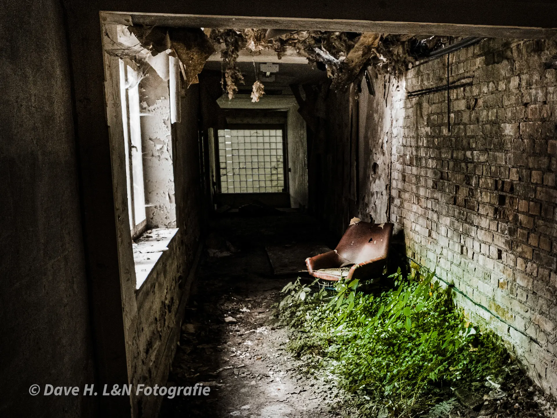 Sessel in der Ecke eines alten Gemäuers. Rundum bewachsen mit Moos und Sträuchern.