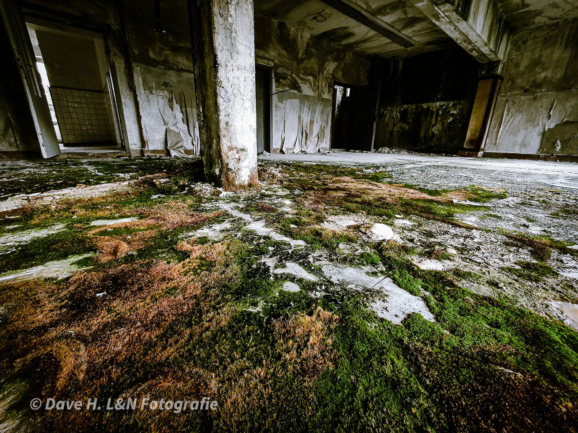 Komplette Etage eines verlassenen Wohnblocks der Kaserne. Boden ist mit Grünspan überzogen.