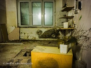 Schimmel verziert die Wände von dem ehemaligem Hotel am Strand.