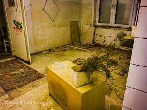 Blumenkübel mit vertrockneter Pflanze verziert einen Raum des vergessenen Gebäudes.