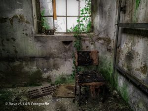 Alter Stuhl umsäumt von Efeu in einer verlassenen Fabrikhalle.