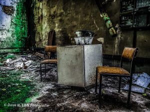 Zwei Stühle und ein Kühlschrank in einem mit Farn bedeckten Raum.