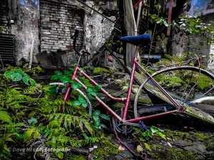 eingewachsen von Farn befindet sich ein rostiges Fahrrad in einer der Hallen dieser Industrieanlage.