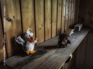 Im Kinderzimmer auf einem Regal des alten Zollhauses lassen sich noch Kuscheltiere der Kinder finden.