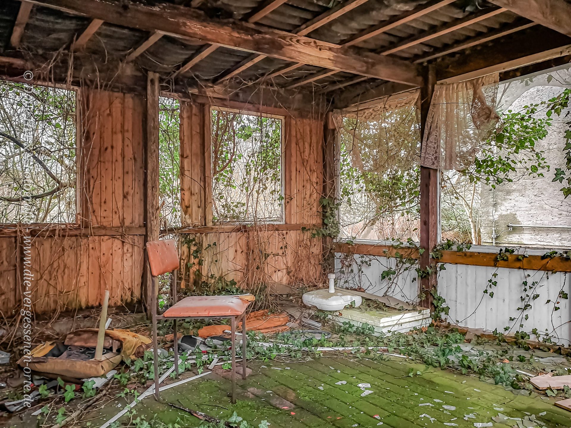 Ein Stuhl in einem verlassenen Haus umsäumt von Efeu