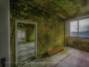 Auf Lost Place Tour: Das Obergeschoss dieses ehemaligen Bürokomplexes ist versehen mit Grünspan an den Wänden.