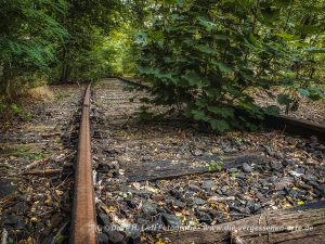 Auf Lost Place Tour: Ein kleiner Baum wächst nach all den Jahren der Verlassenheit mitten auf den Schienen.