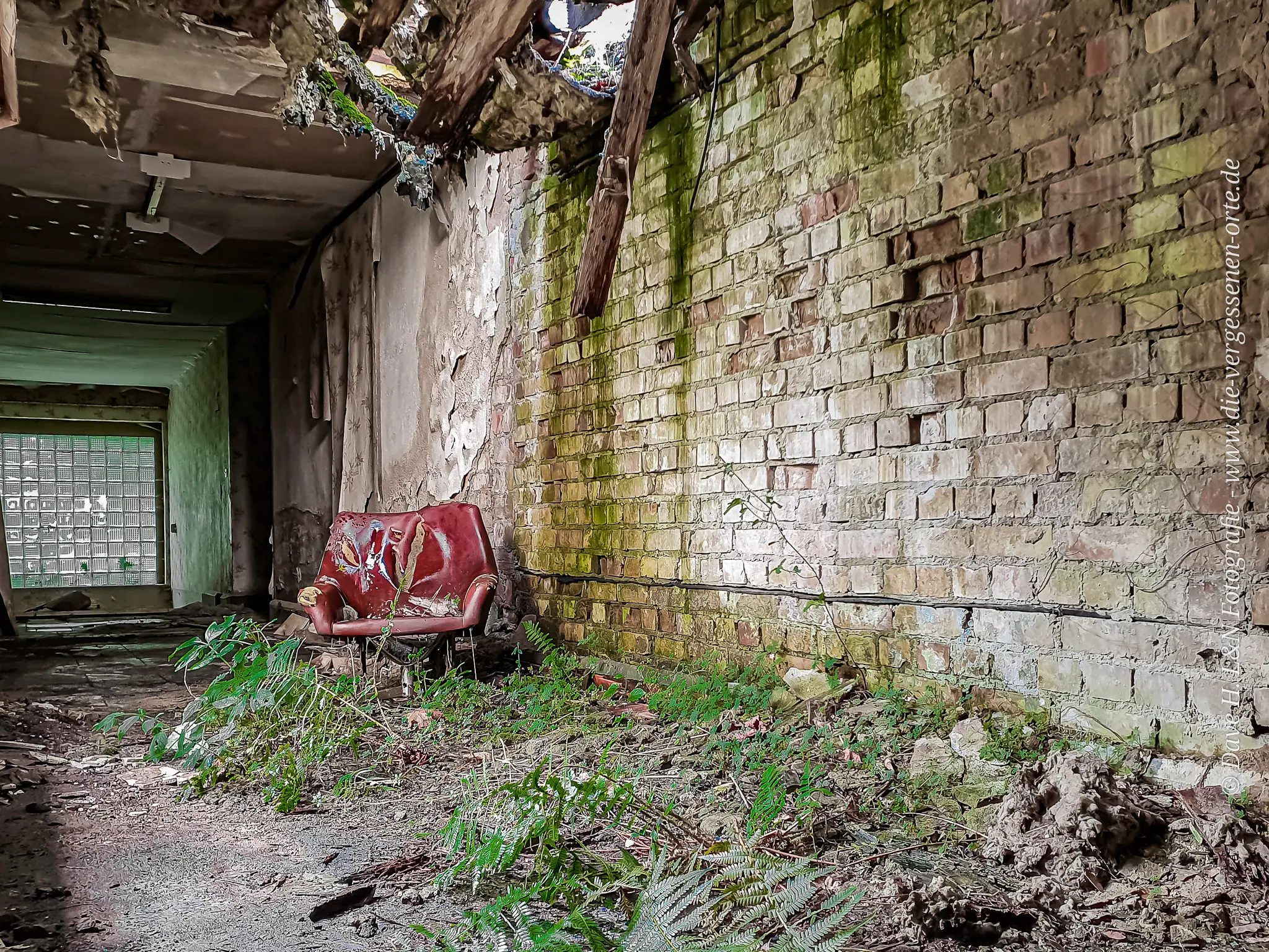 Umwachsen von Sträuchern und Moosen steht ein Sesel im Lost Place.