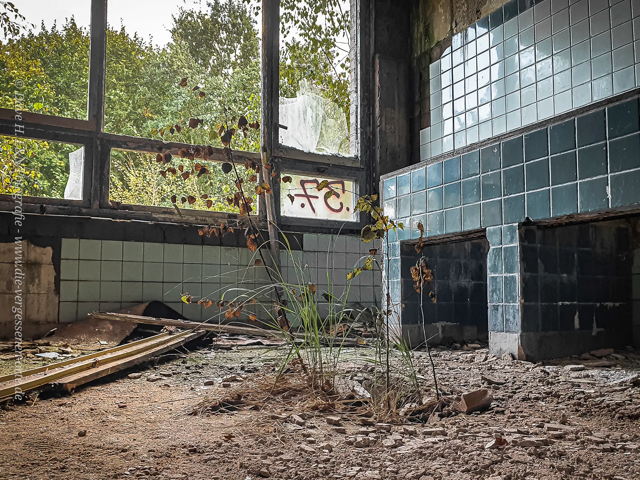 Pflanzen wachsen durch die Fliesen des alten Gebäudes.