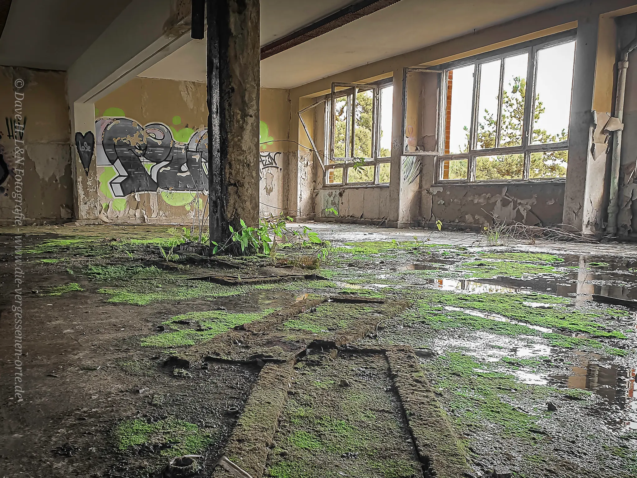 Nasser Betonboden überzogen von Grünspan und Moos im verlassenen Gebäude.