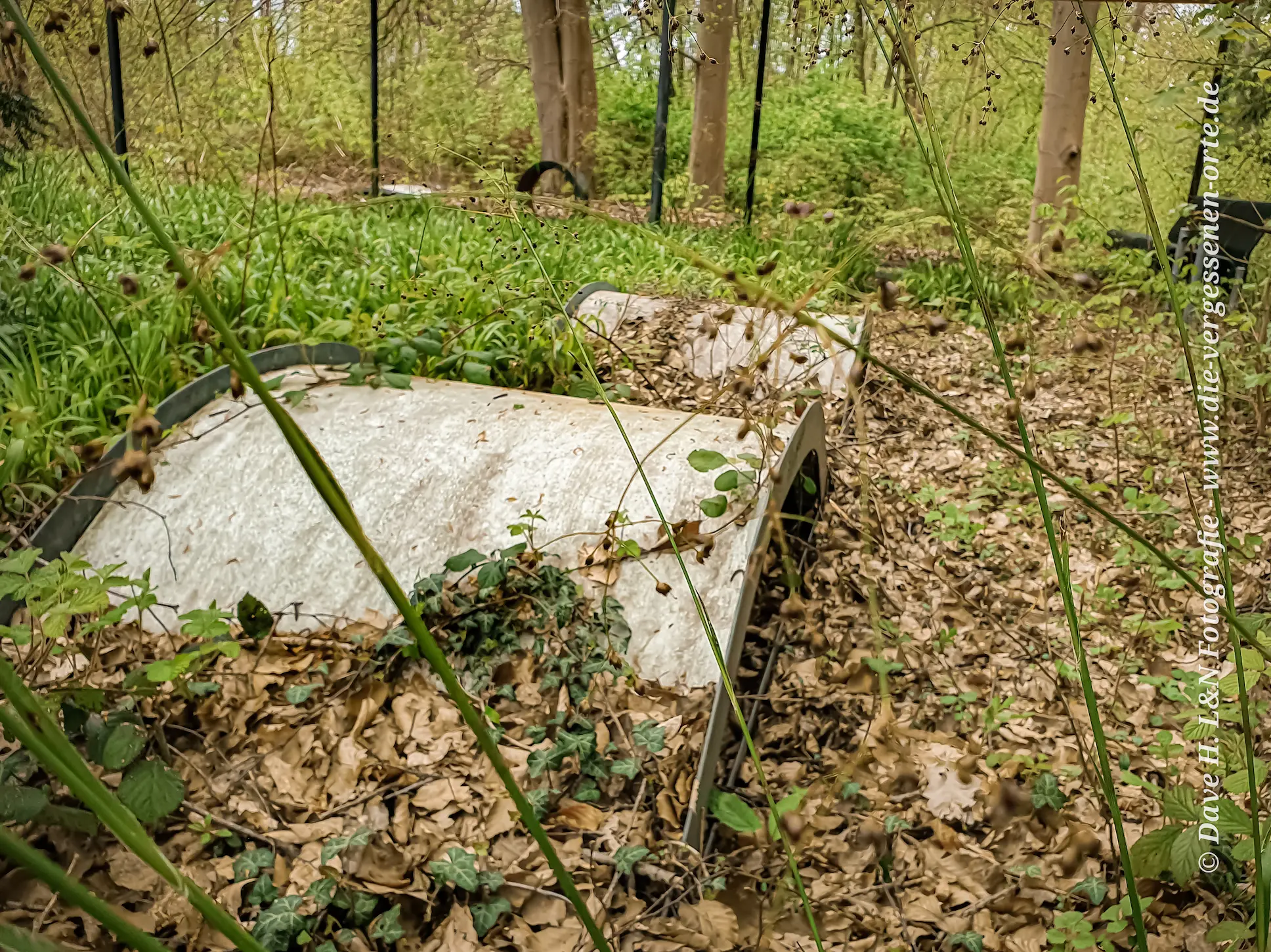 Überwachsen von Efeu und Gras befindet sich eine Minigolfanlage im Park der verlassenen Klinik.