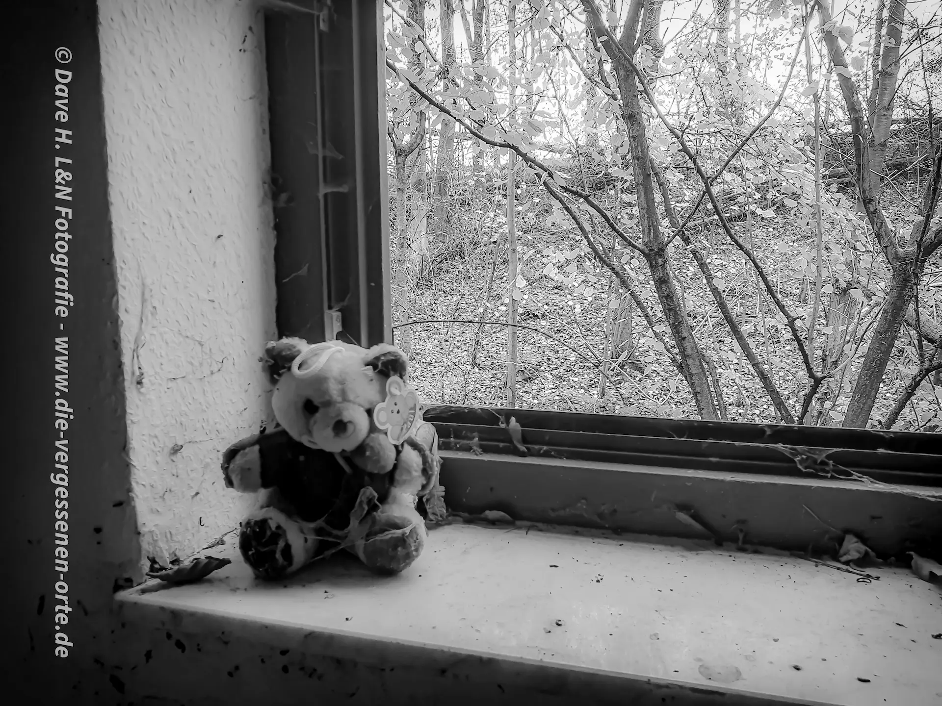 Auf Fensterbank des ehemaligen Wohnhauses steht ein Teddy-Bär.