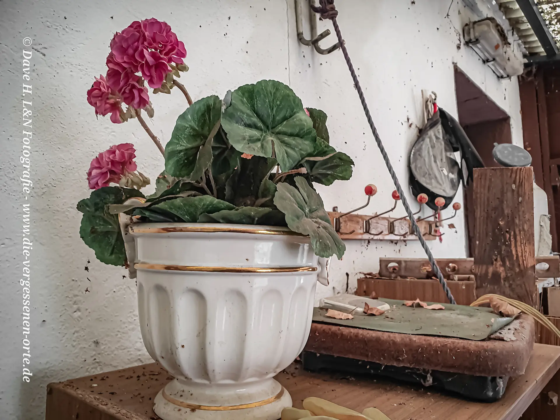Ein Blumentopf auf der Veranda mit Plastikblumen – er verziert so ein verlassenes Wohnhaus.