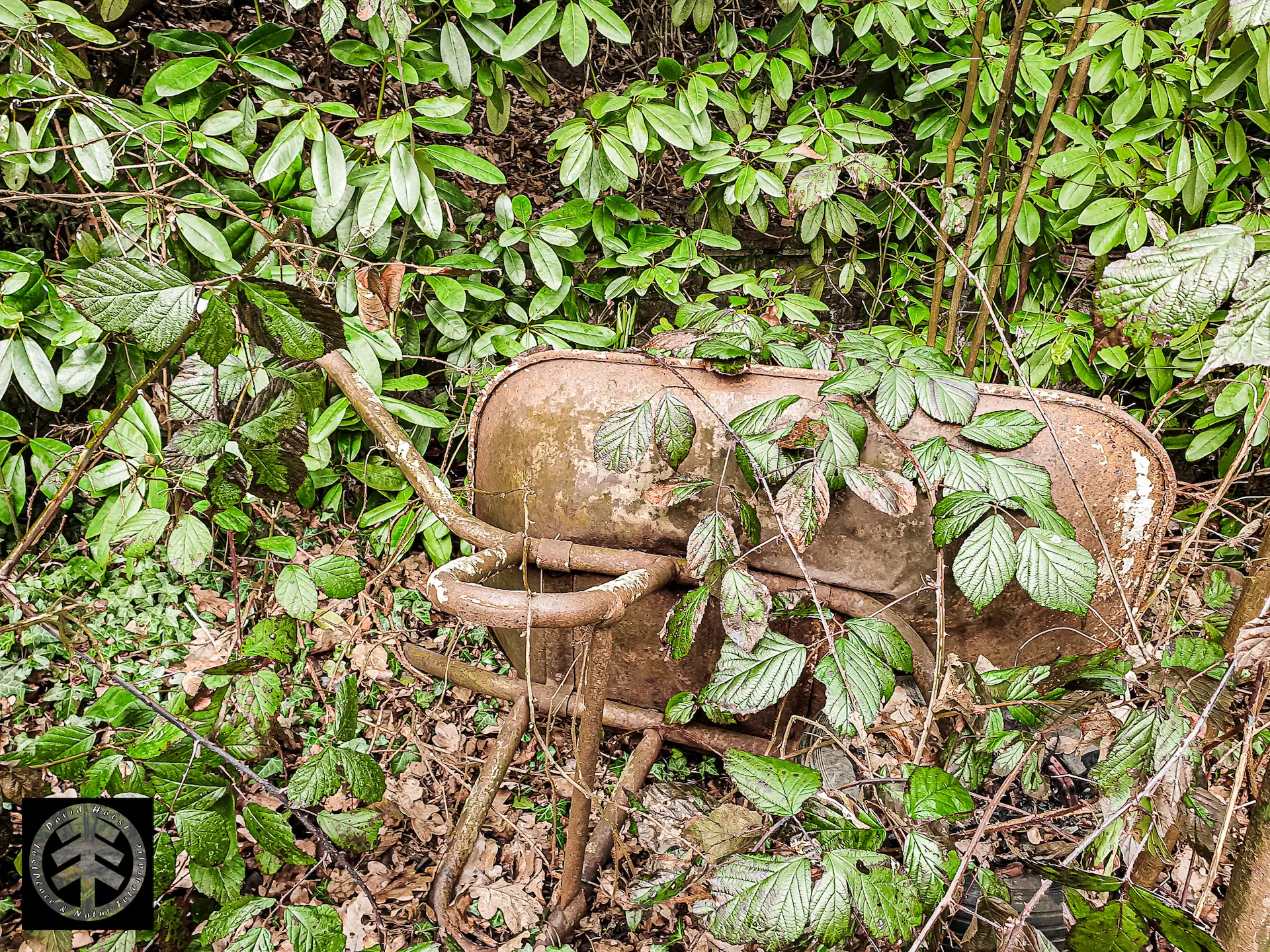 Schubkarre umsäumt von Efeu auf dem Grundstück des ehemaligen Haus am See.