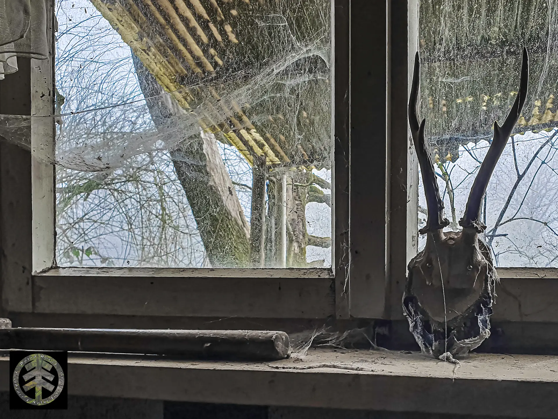 Verlassenes Wochenendhaus: Blick aus dem Fenster zum See.